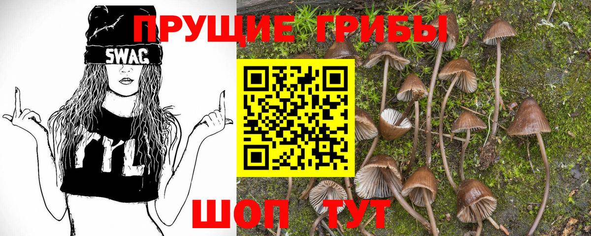 Галлюциногенные грибы ЛСД  Вход с VPN  Сибай 