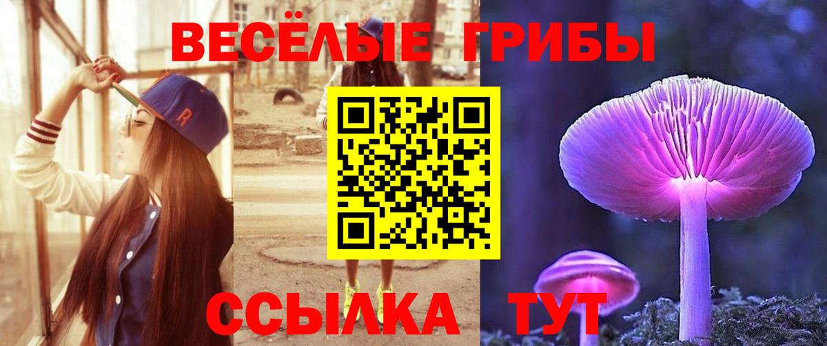 Псилоцибиновые грибы GOLDEN TEACHER Сибай