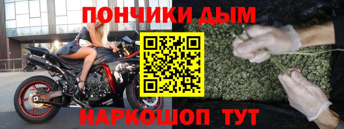 Шишки марихуана конопля Сибай